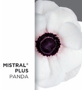Anemone Mistral Panda